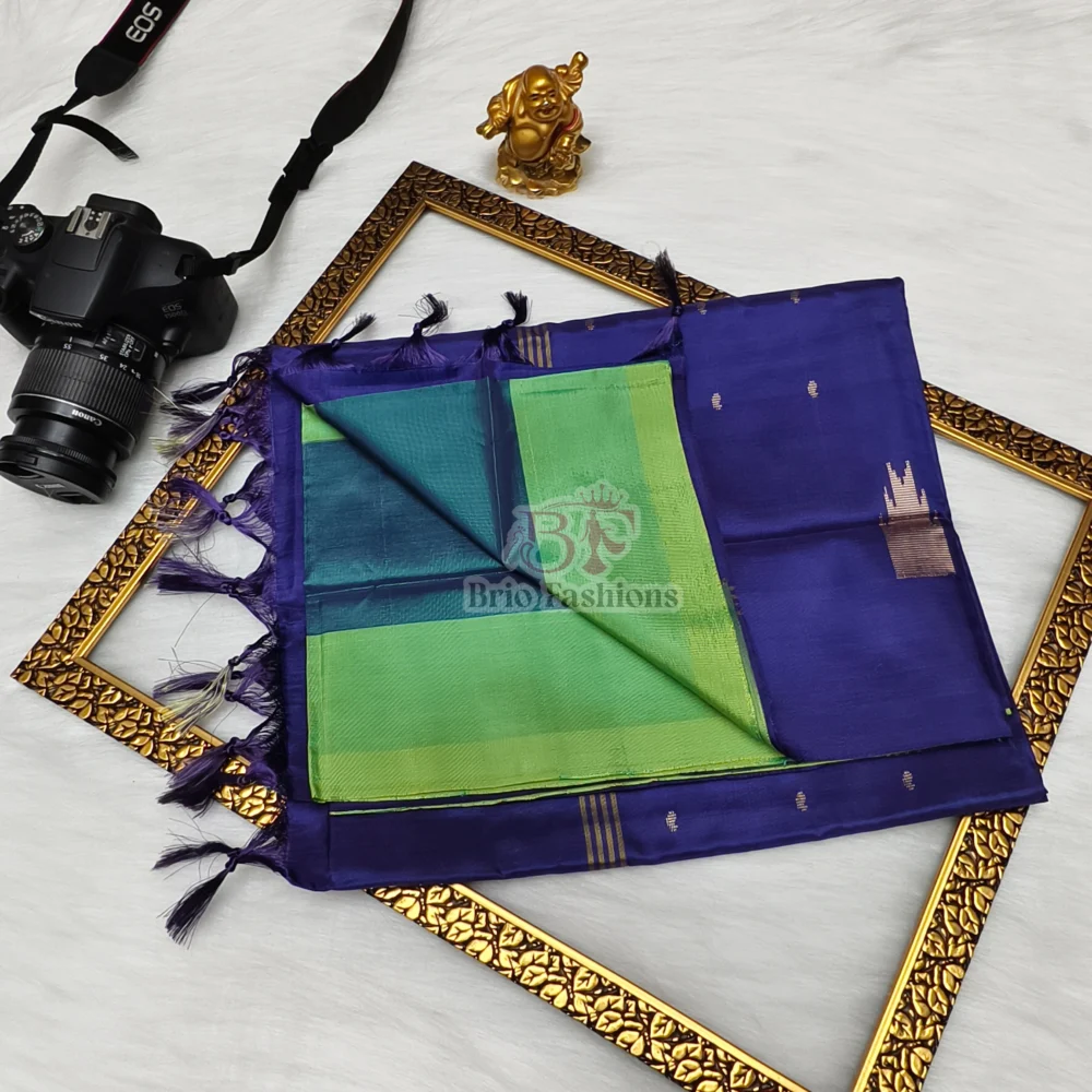 BANANA PITH SAREES (VAAZHAI PATTU) 11- Hurryep Technologies