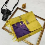 BANANA PITH SAREES (VAAZHAI PATTU) 22- Hurryep Technologies