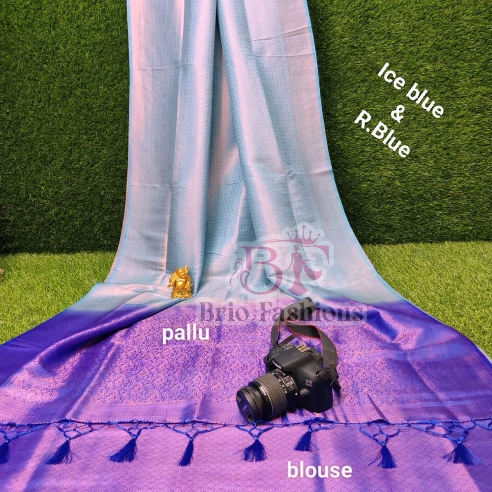 Pallu Only Contrast 01 - Hurryep Technologies
