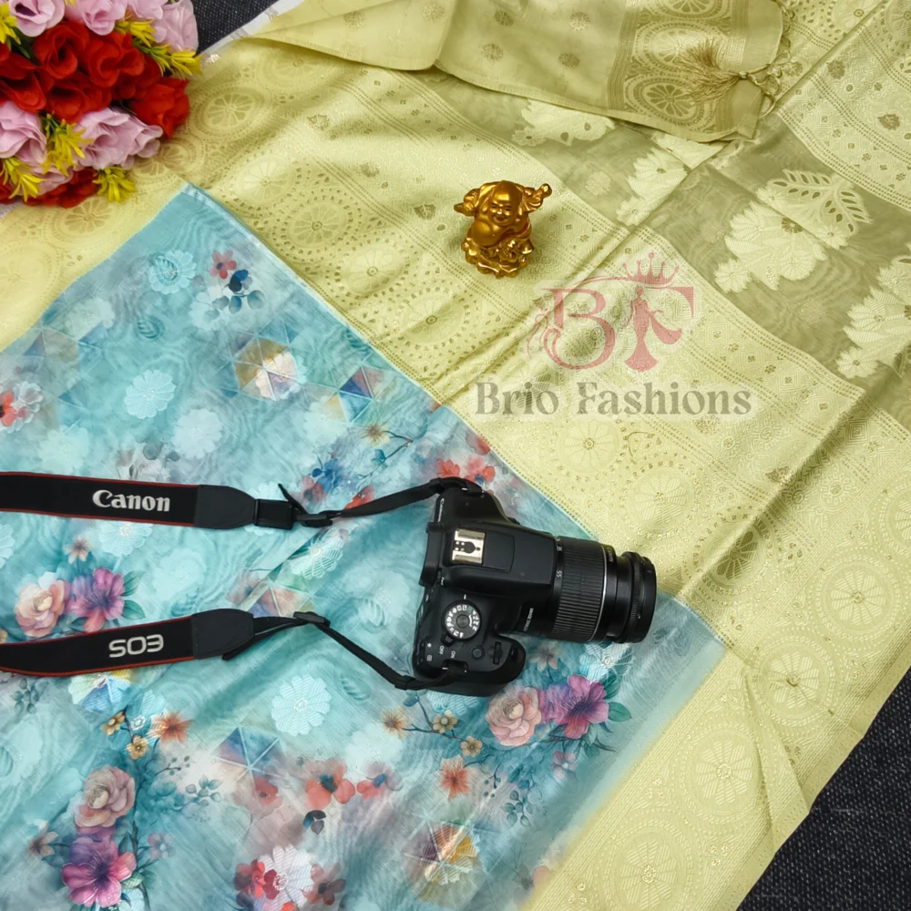 BOLLYWOOD BLOOM LINEN LAKHNAVI SAREE 01 - Hurryep Technologies