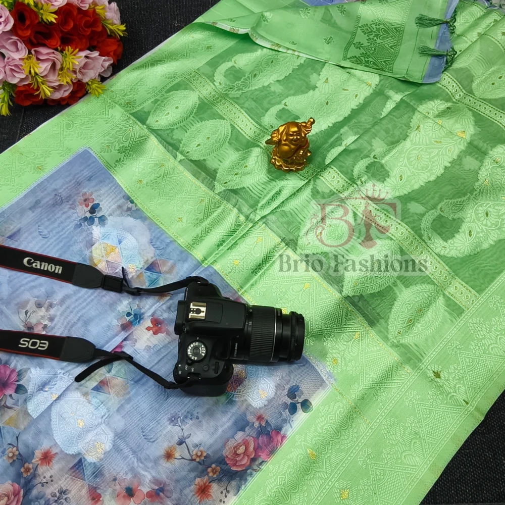 BOLLYWOOD BLOOM LINEN LAKHNAVI SAREE 09 - Hurryep Technologies